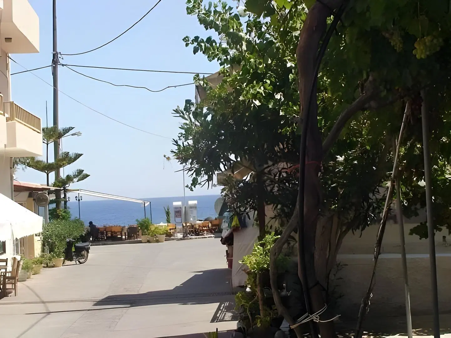 Pension Irene LANDSCAPE