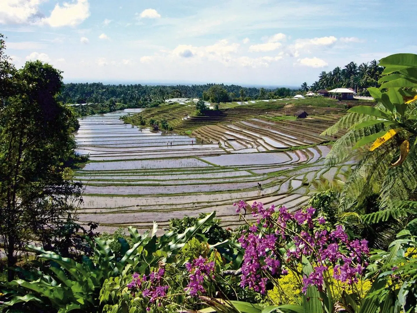 Die Wiege Indonesiens LANDSCAPE