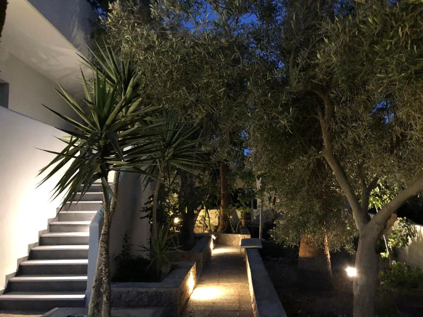 Dragonfly Villas Terrasse