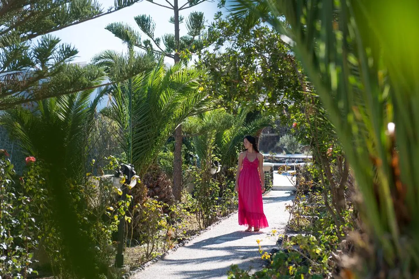 Aelia by Eltheon Garten