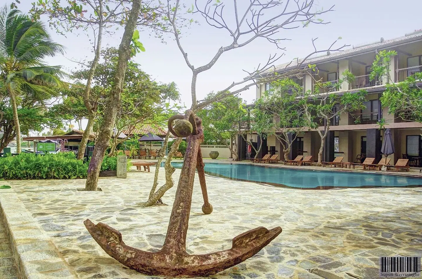 Earl's Reef SPORTS_AND_LEISURE