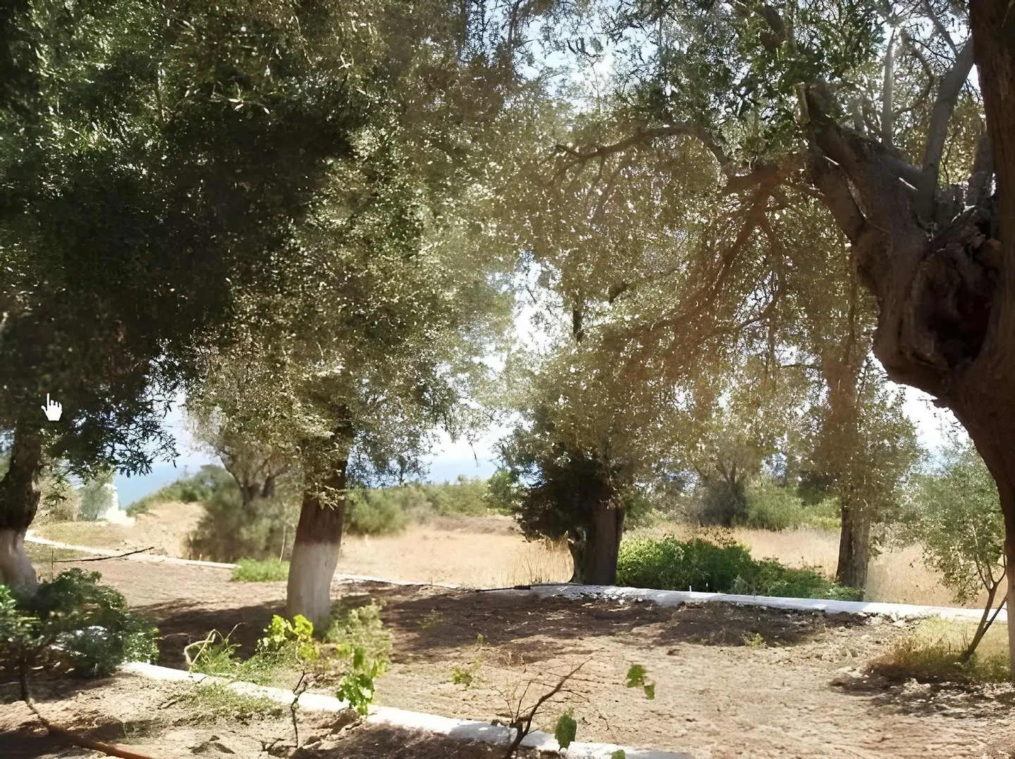 White Rock Apartments Garten