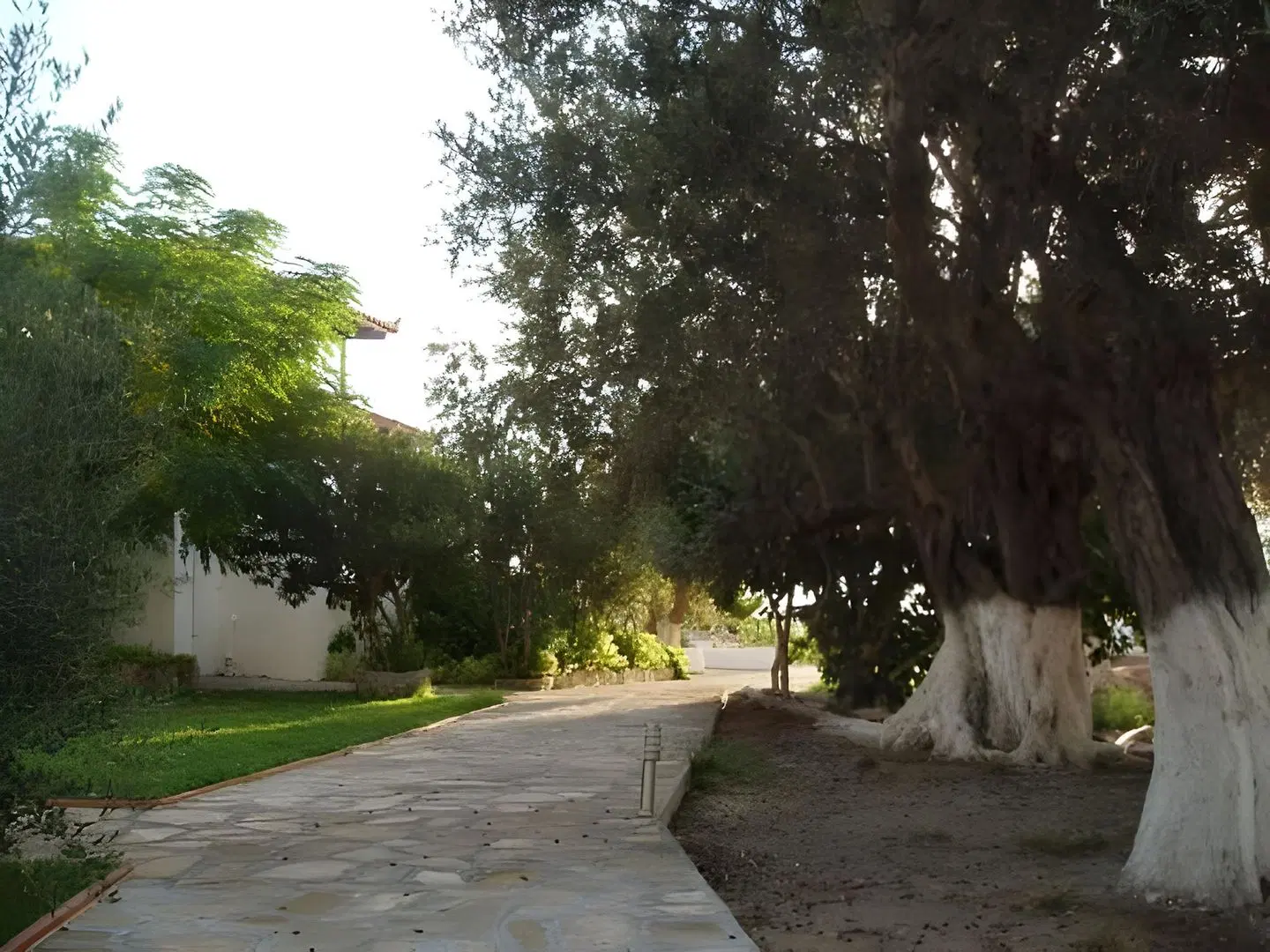 White Rock Apartments Garten