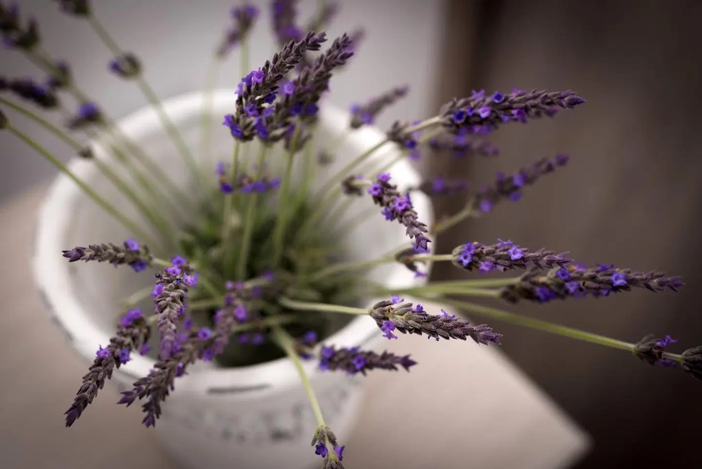 White Harmony Suites LANDSCAPE