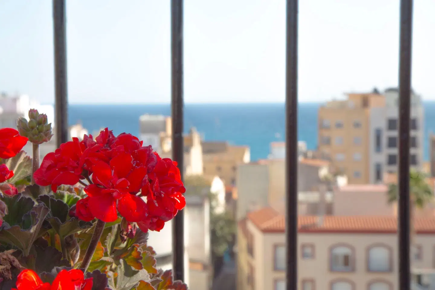 Hotel Santa Rosa EXTERIOR