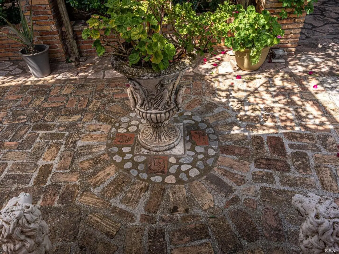 Castella Beach Tiere