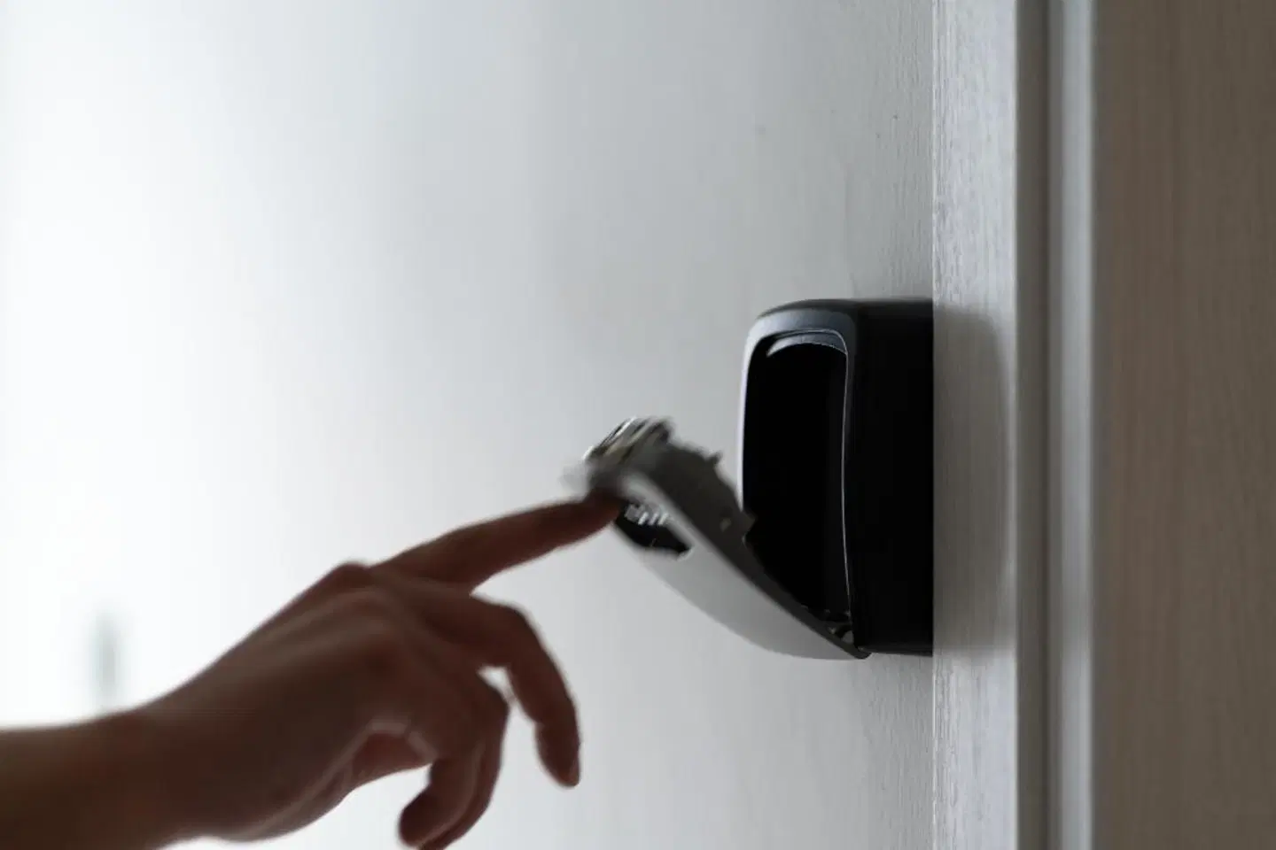 Sunray Lodgings Tiere