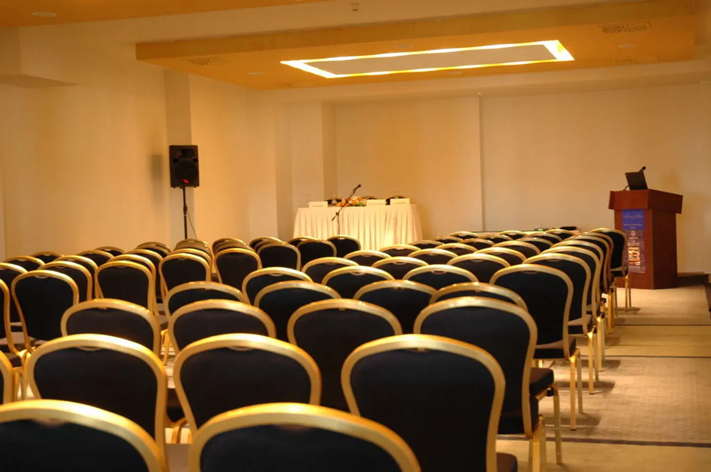 Ionian Blue Bungalows & Spa Resort Konferenz