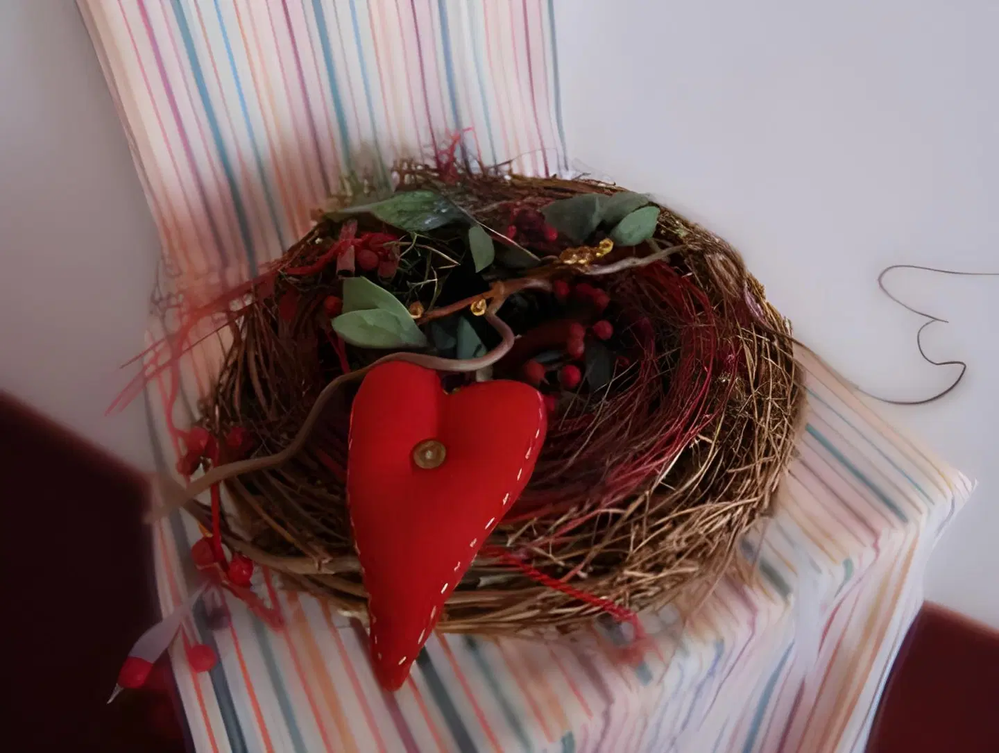 Tschatscha Nova Tiere