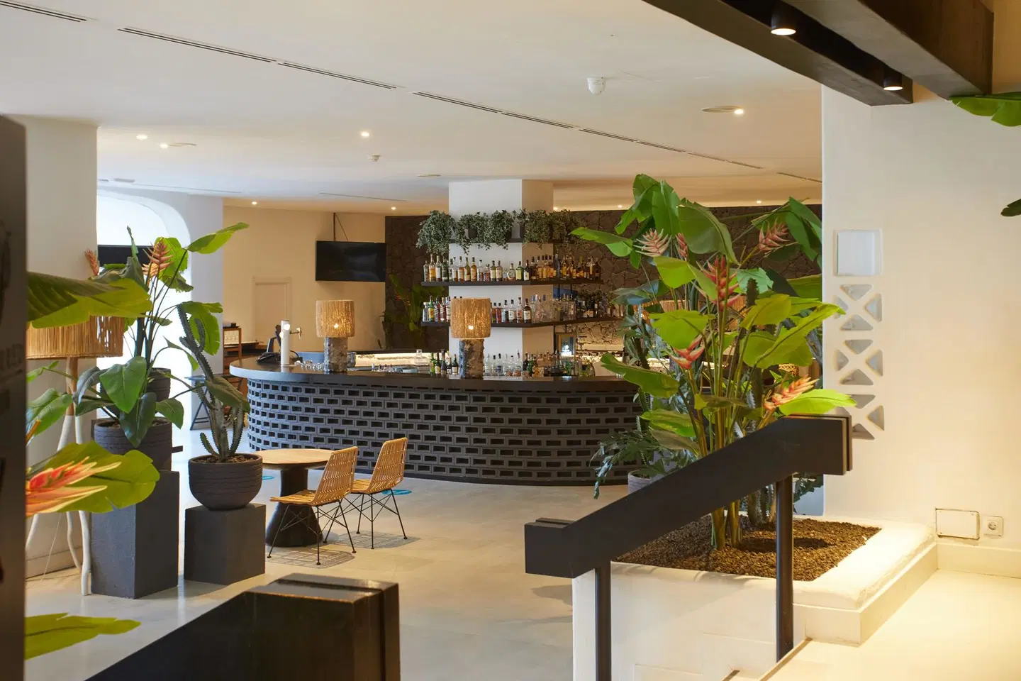 Dreams Jardín Tropical BAR