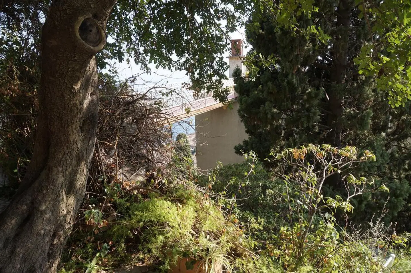 Mediterranée Garten