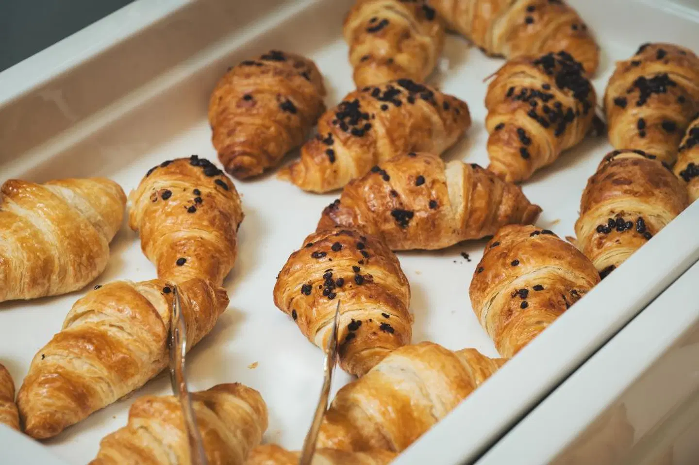 Elia Sea Suites PEOPLE