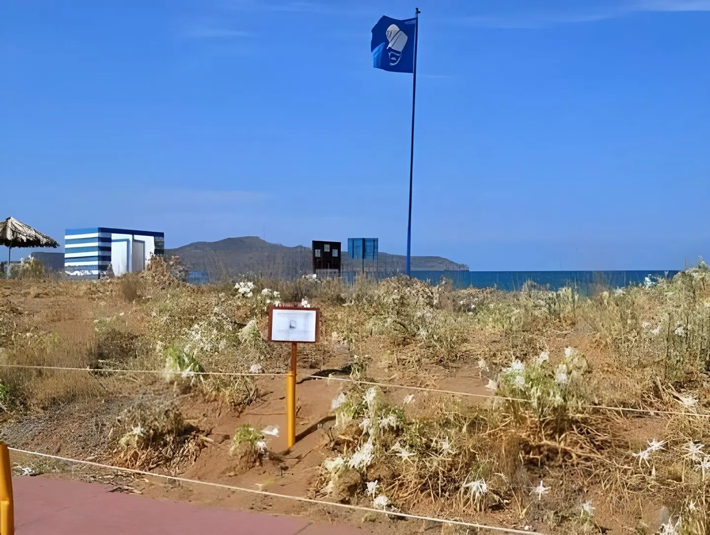 Melina's House LANDSCAPE