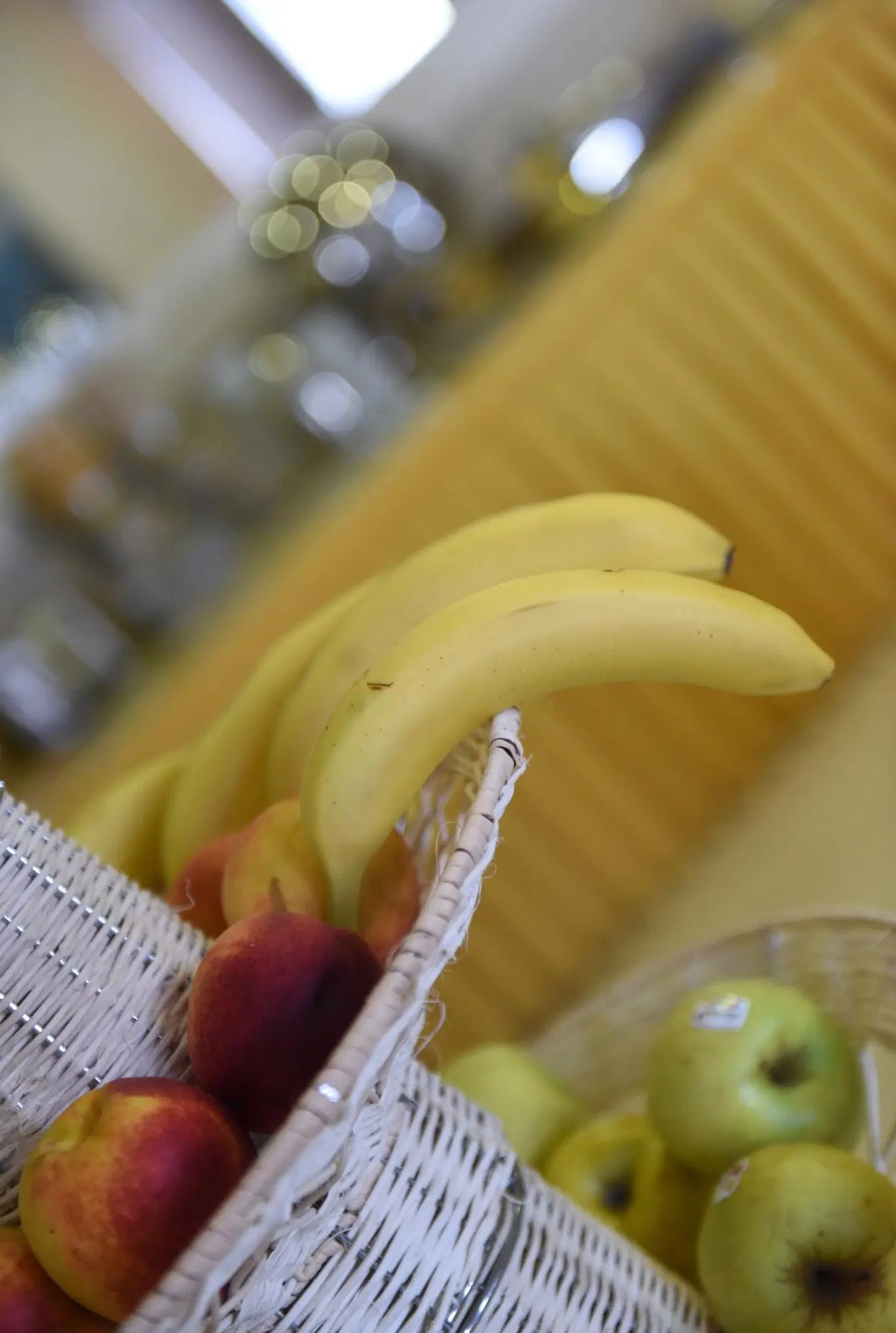 Blue Sea Hotel Tiere