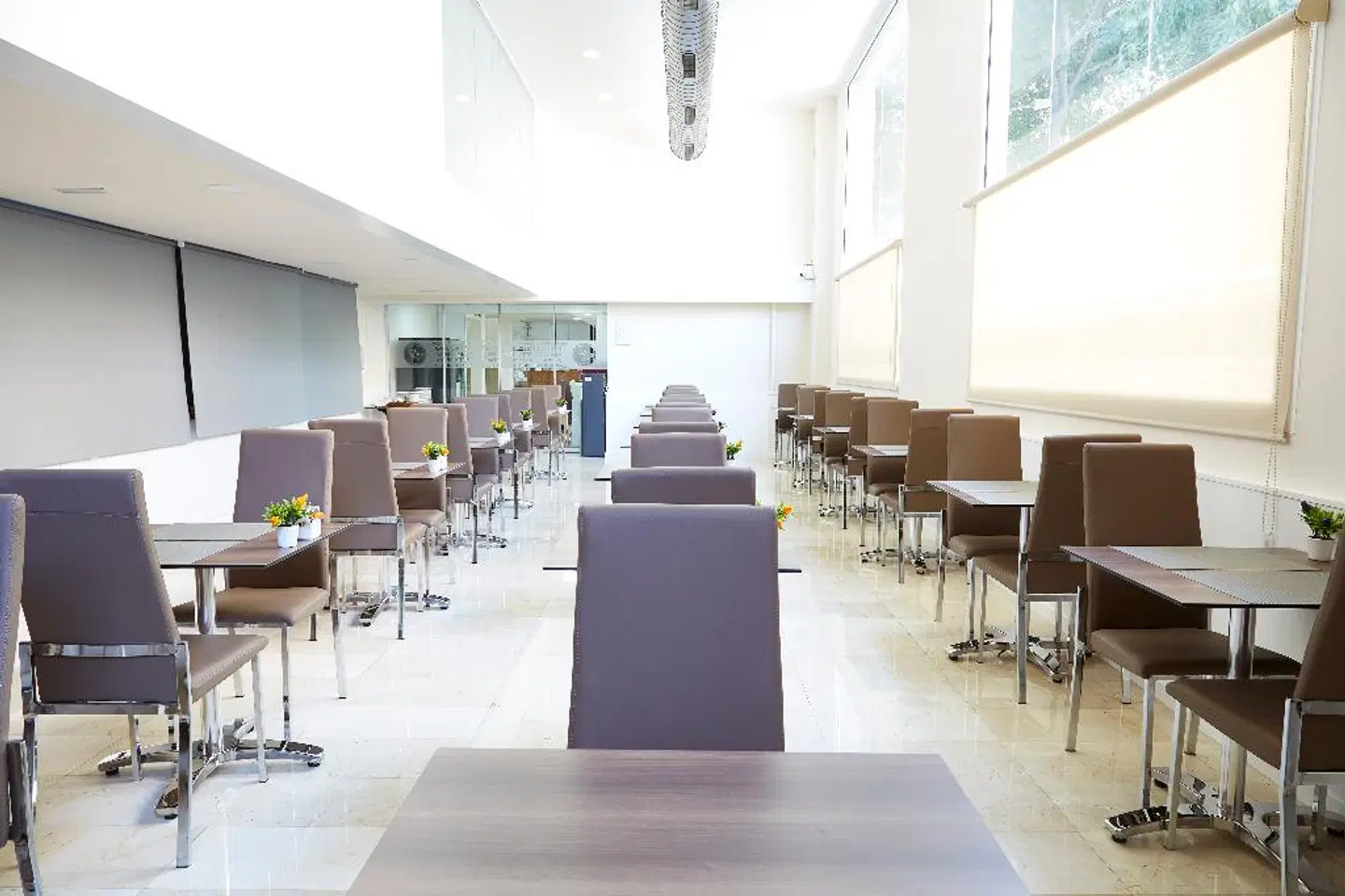 BCN Urban Del Comte Bar