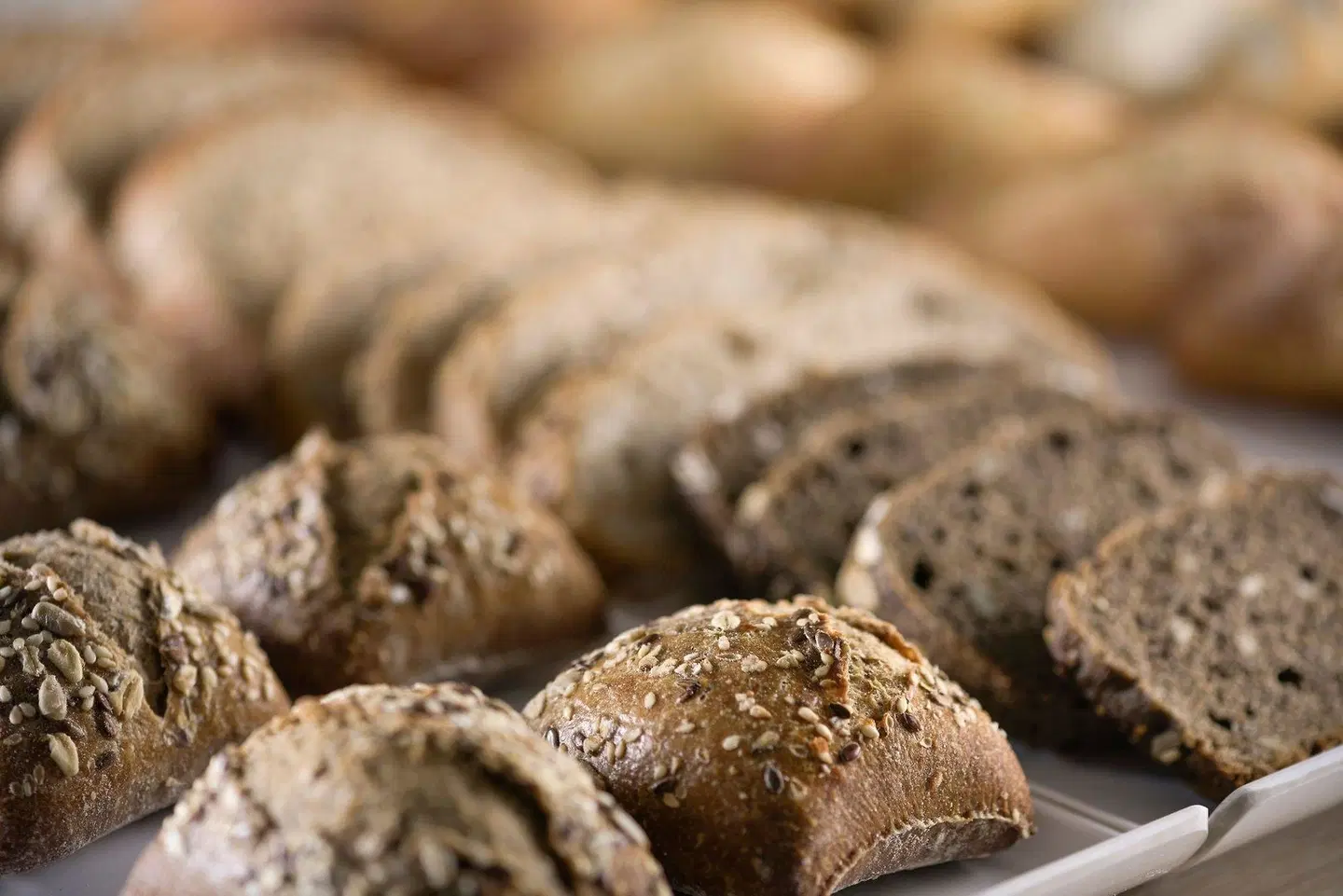 AC Hotel by Marriott Som Tiere