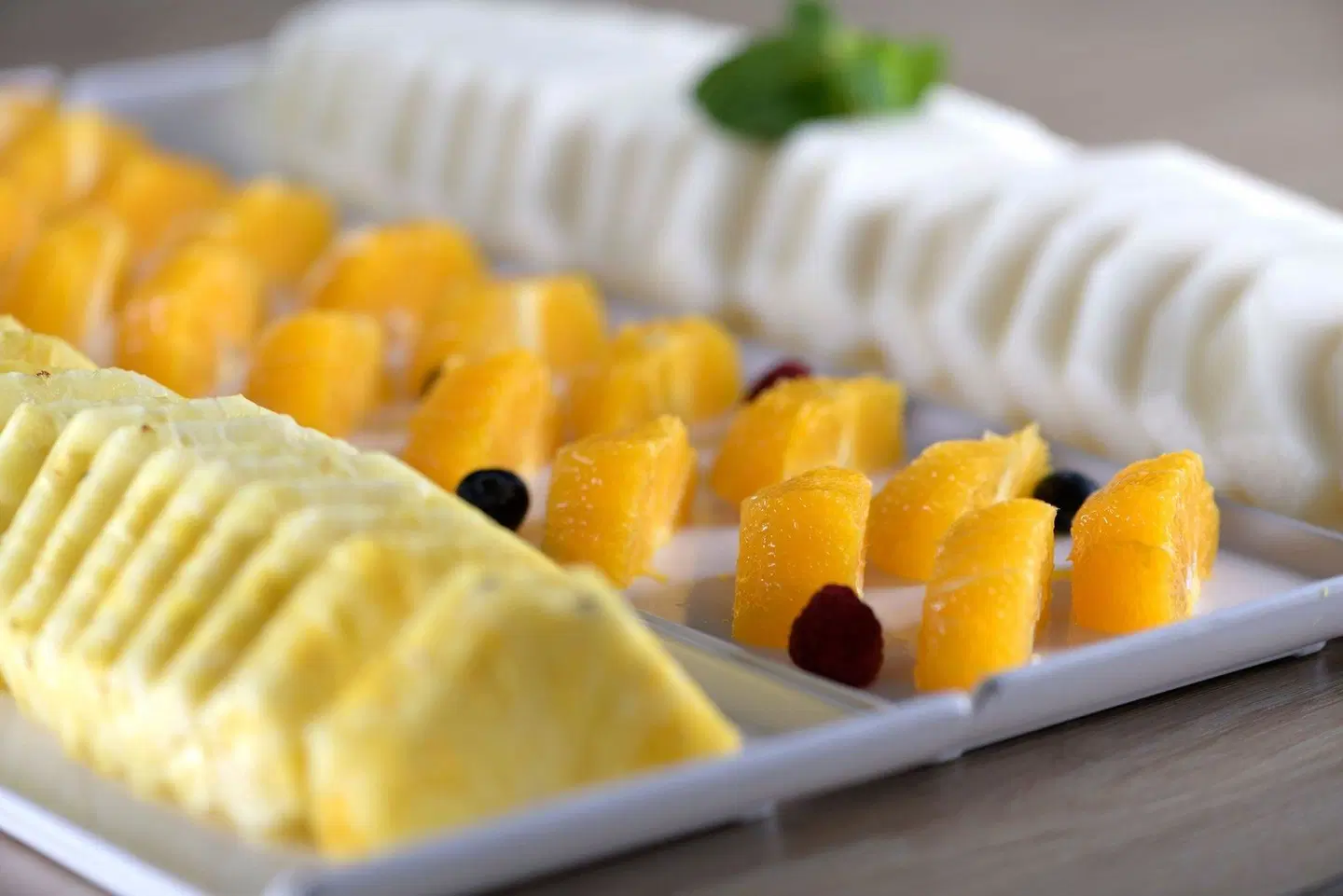 AC Hotel by Marriott Som Tiere