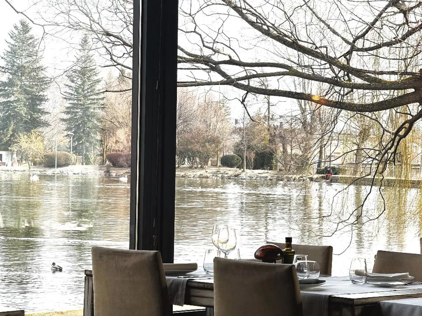 Villa Paulita Terrasse