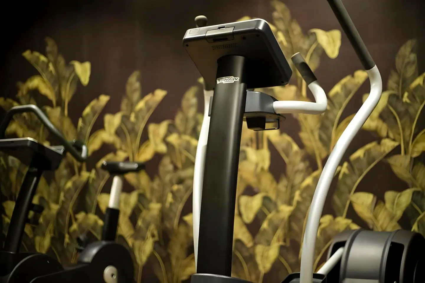 America Barcelona SPORTS_AND_LEISURE