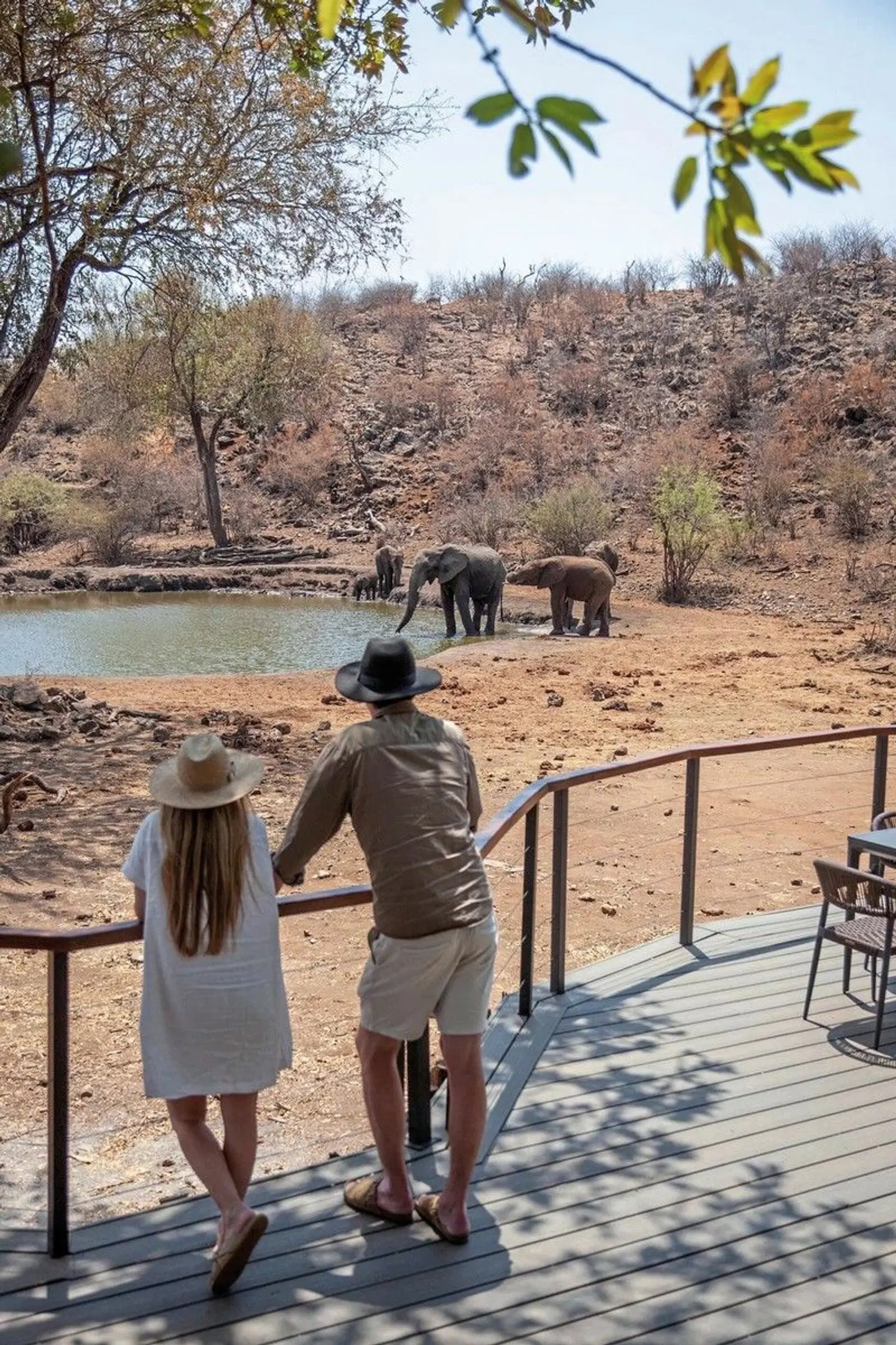 Tuningi Safari Lodge Tiere