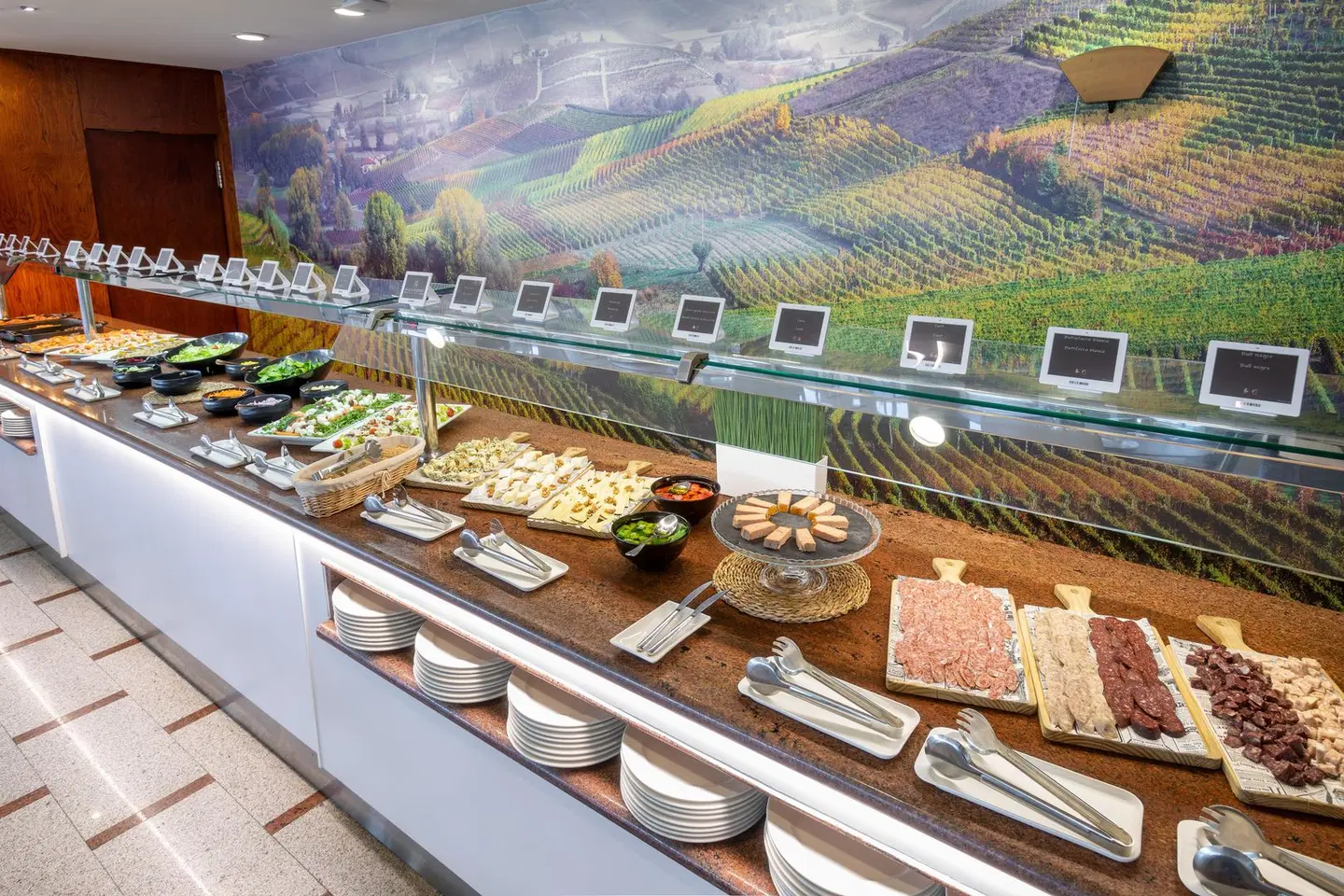 Alexandre Hotel FrontAir Congress Terrasse