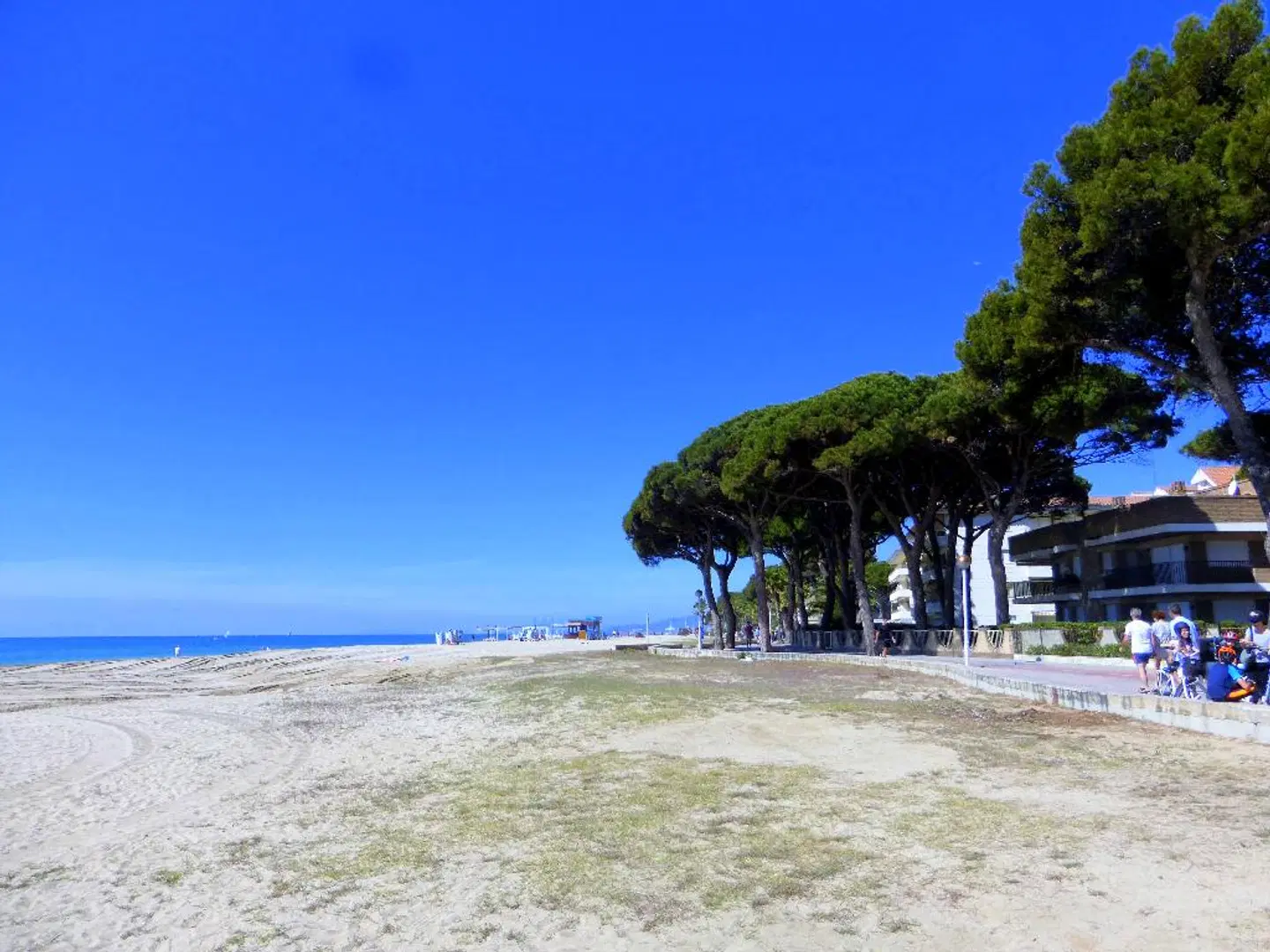 Rentalmar Pins Marina Strand