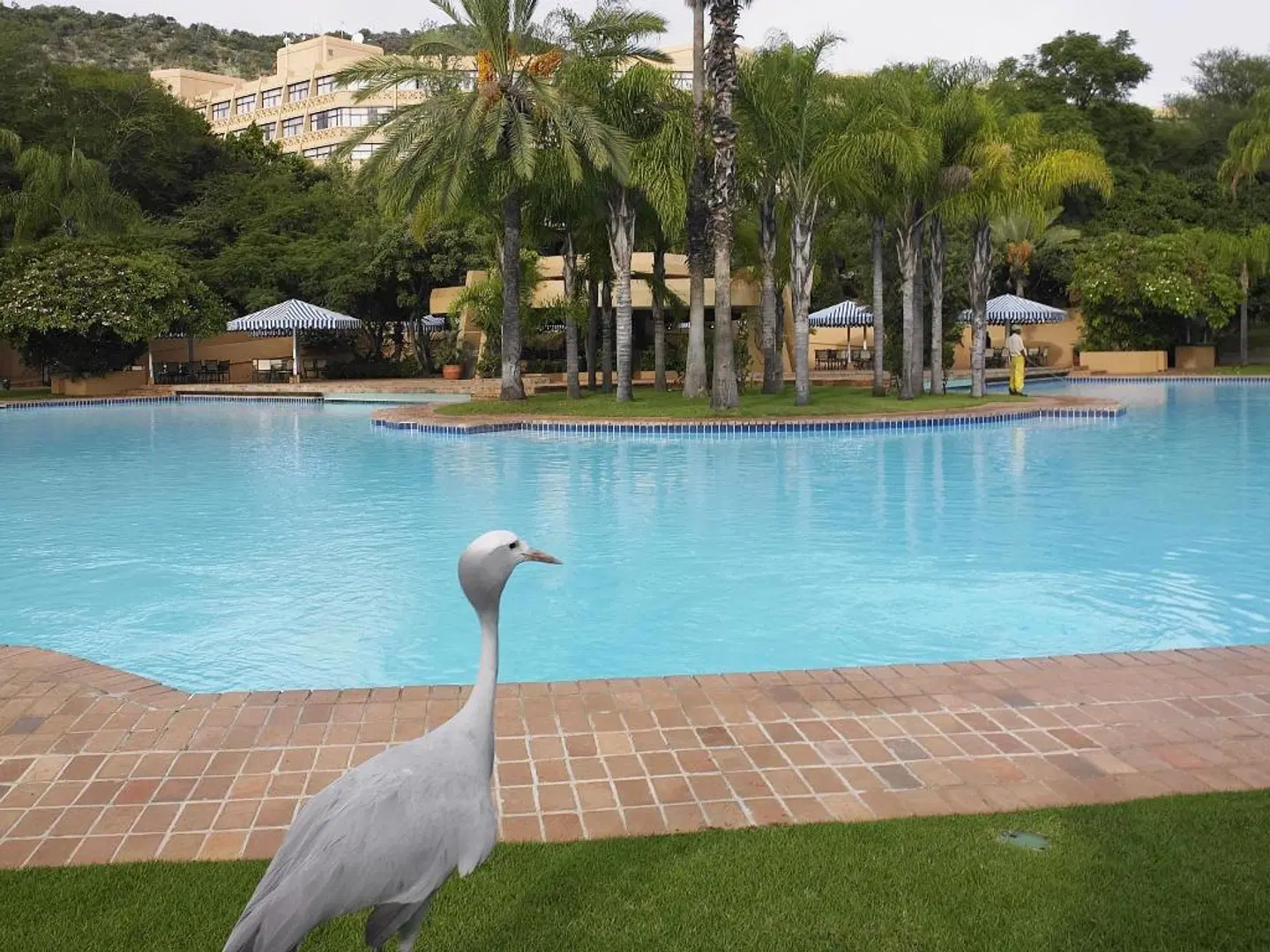 Sun City Hotel OUTDOOR_POOL