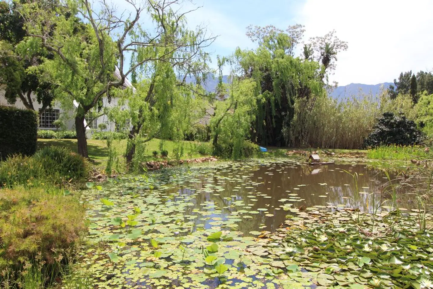 Rothman Manor LANDSCAPE