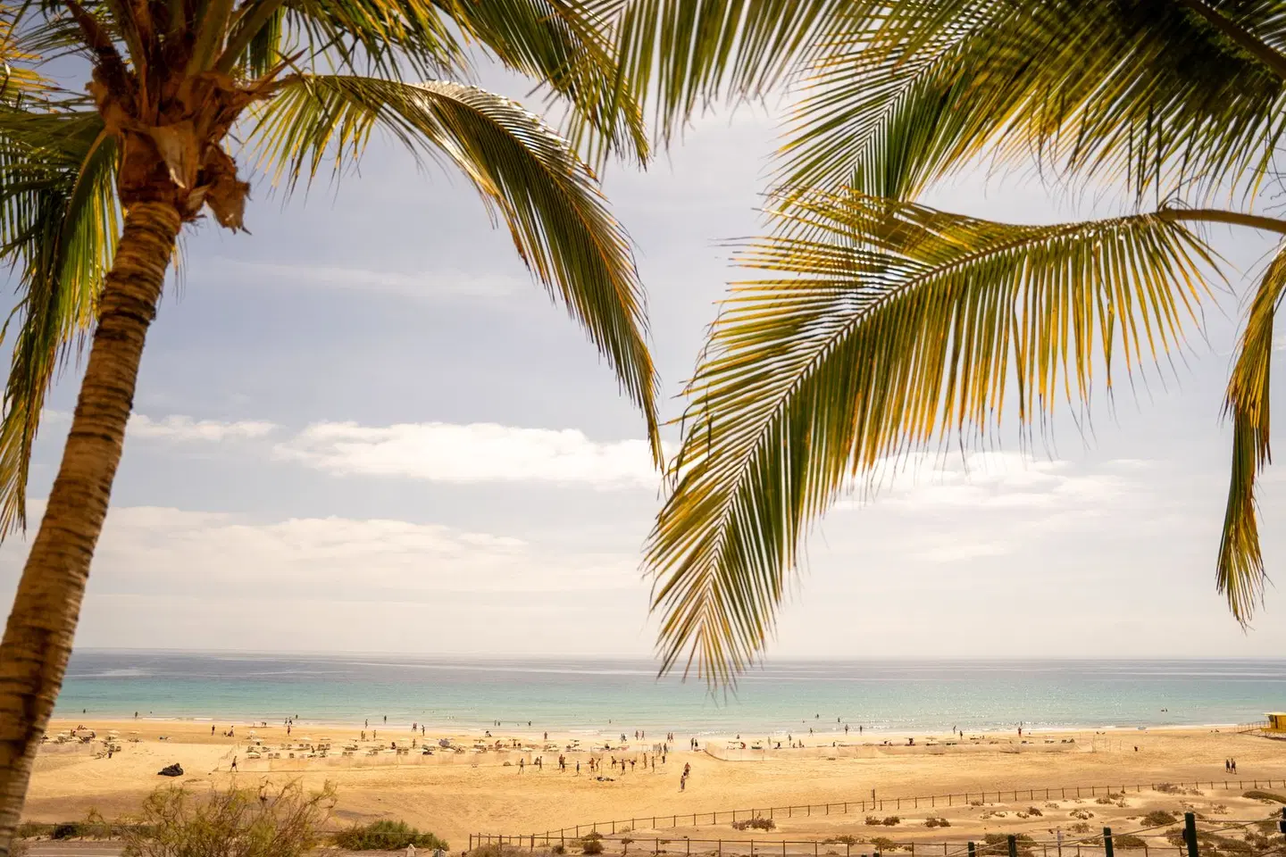 Iberostar Selection Fuerteventura Palace BEACH