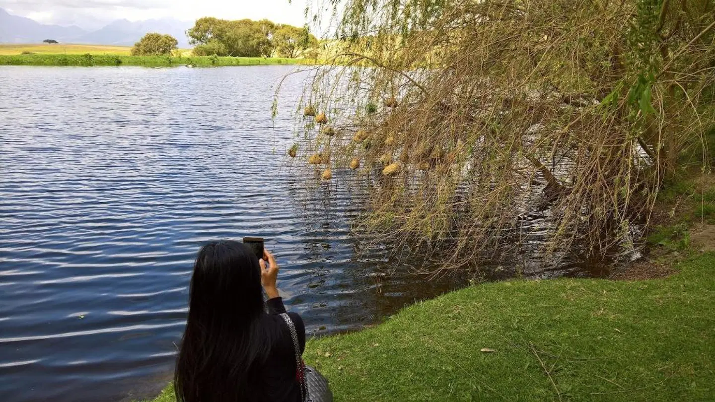 Manor on the Bay Guest House LANDSCAPE