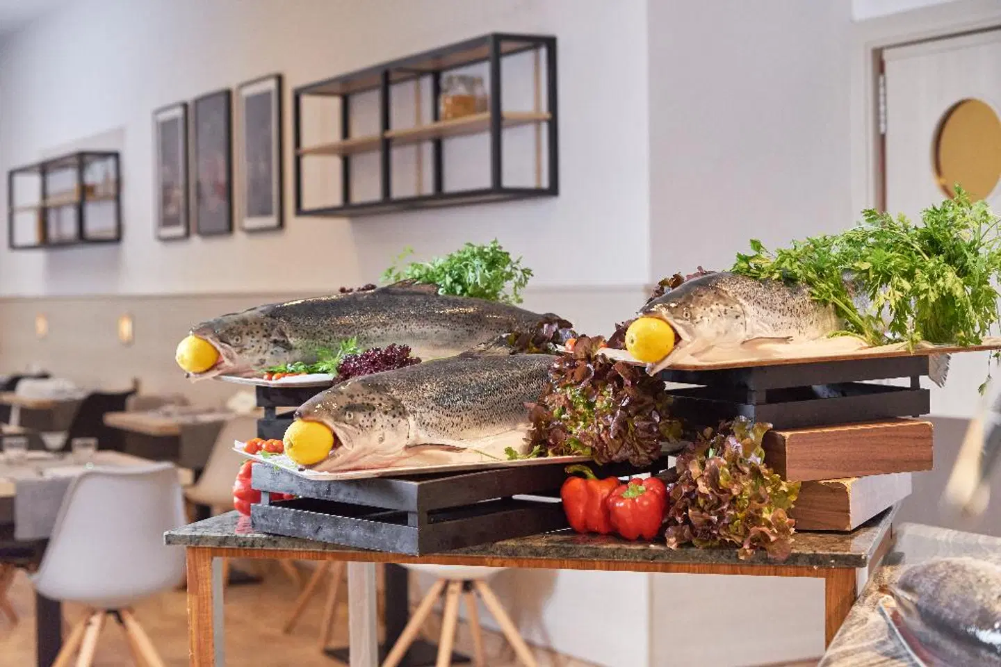 DWO Sirius by Checkin ROOM_EXAMPLE