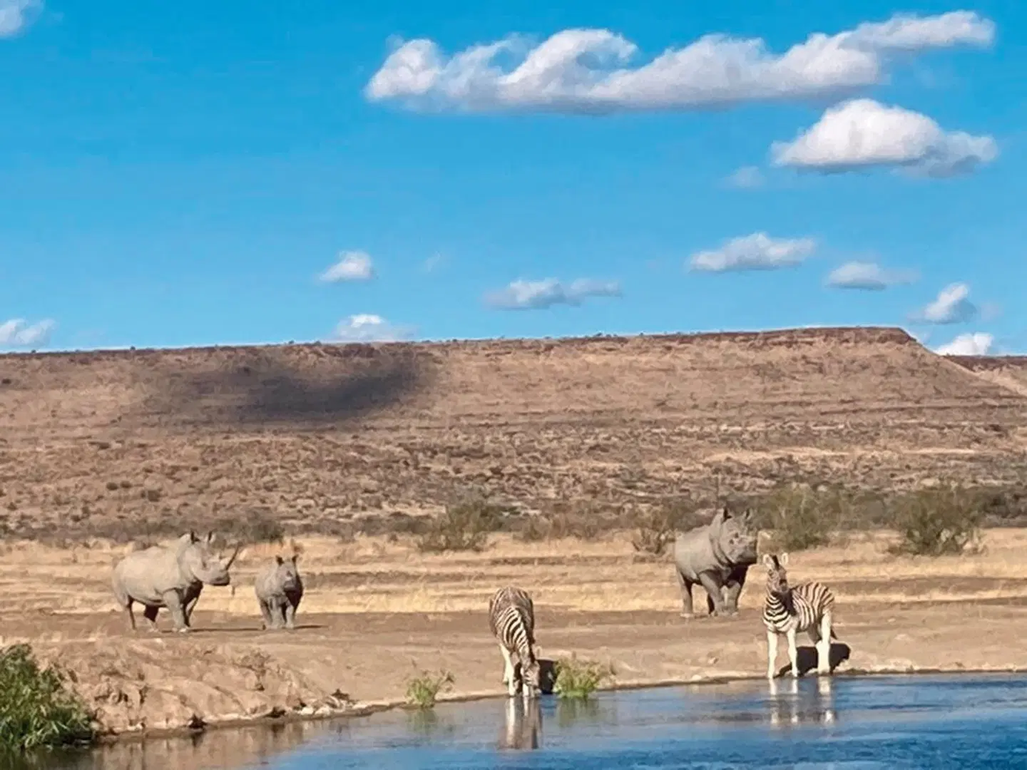 Burgsdorf Guest Farm Tiere