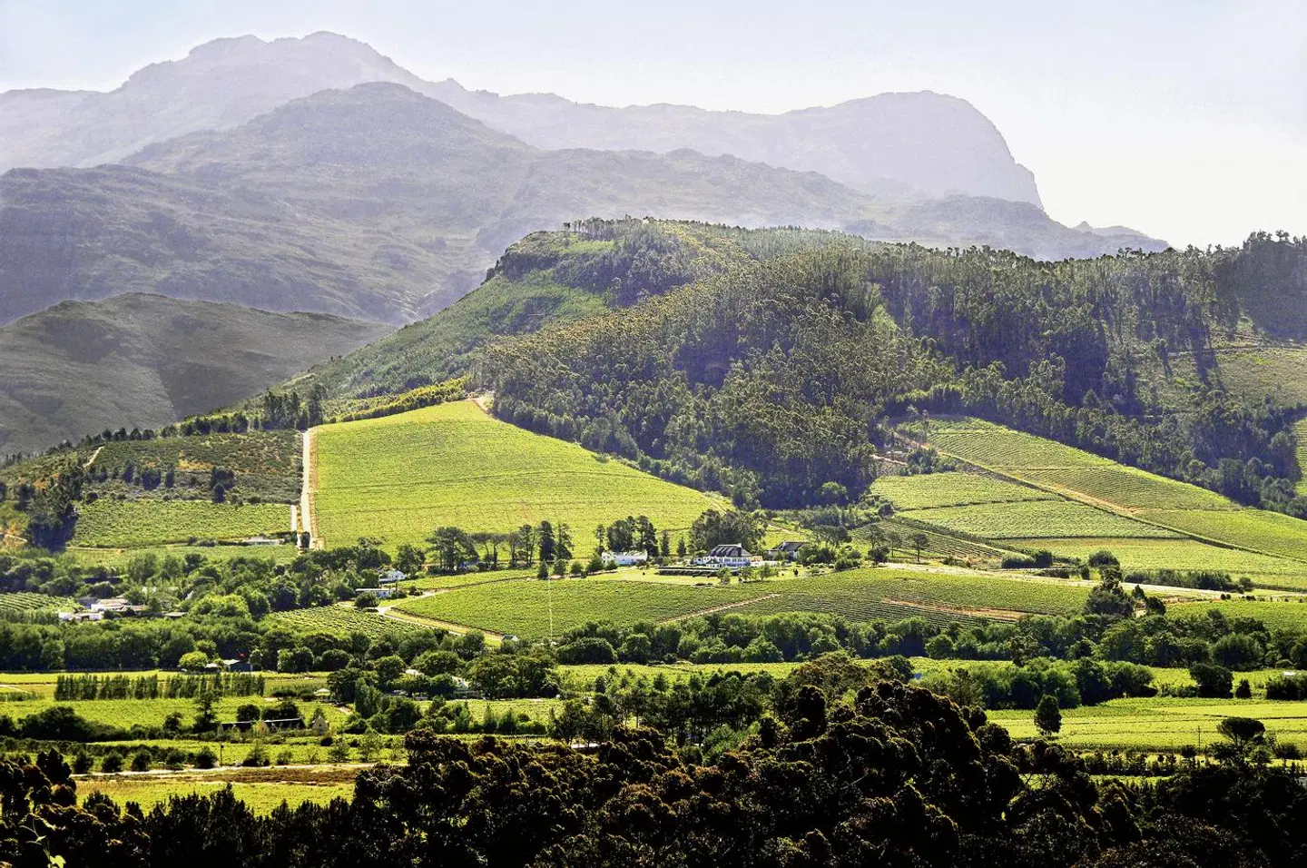 Mont Rochelle Hotel & Mountain Vineyard LANDSCAPE