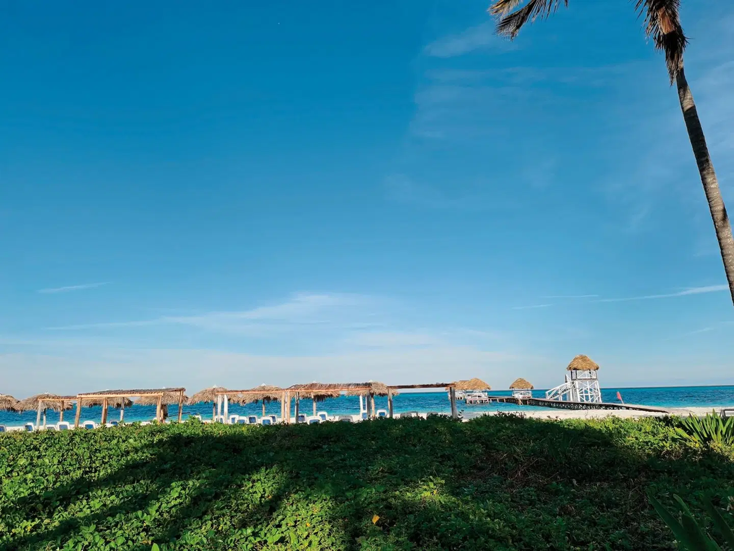 Camino del Mar LANDSCAPE