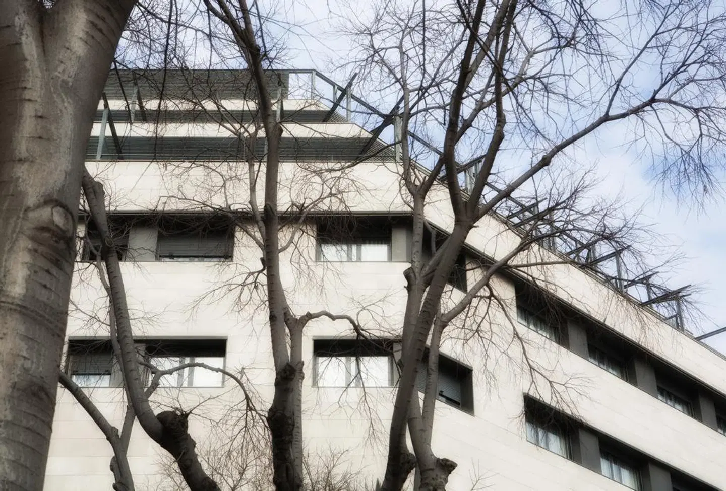 Hotel Sant Pau LANDSCAPE