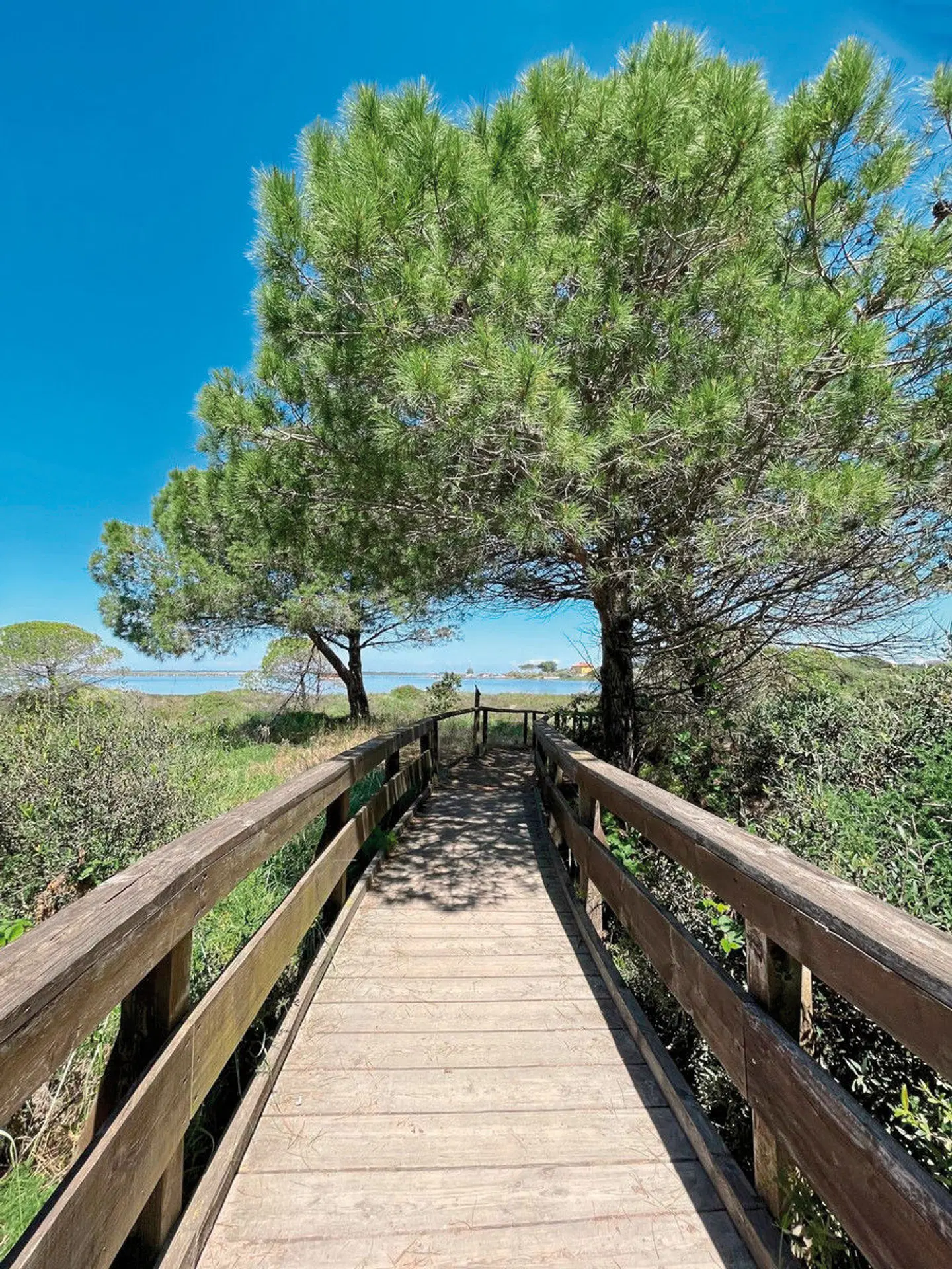 Rosapineta Camping Village (by Happy Camp) Garten