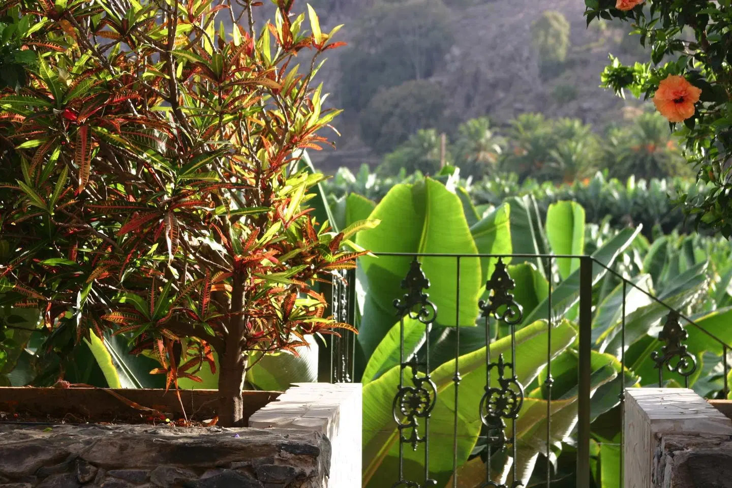 Hacienda del Buen Suceso LANDSCAPE