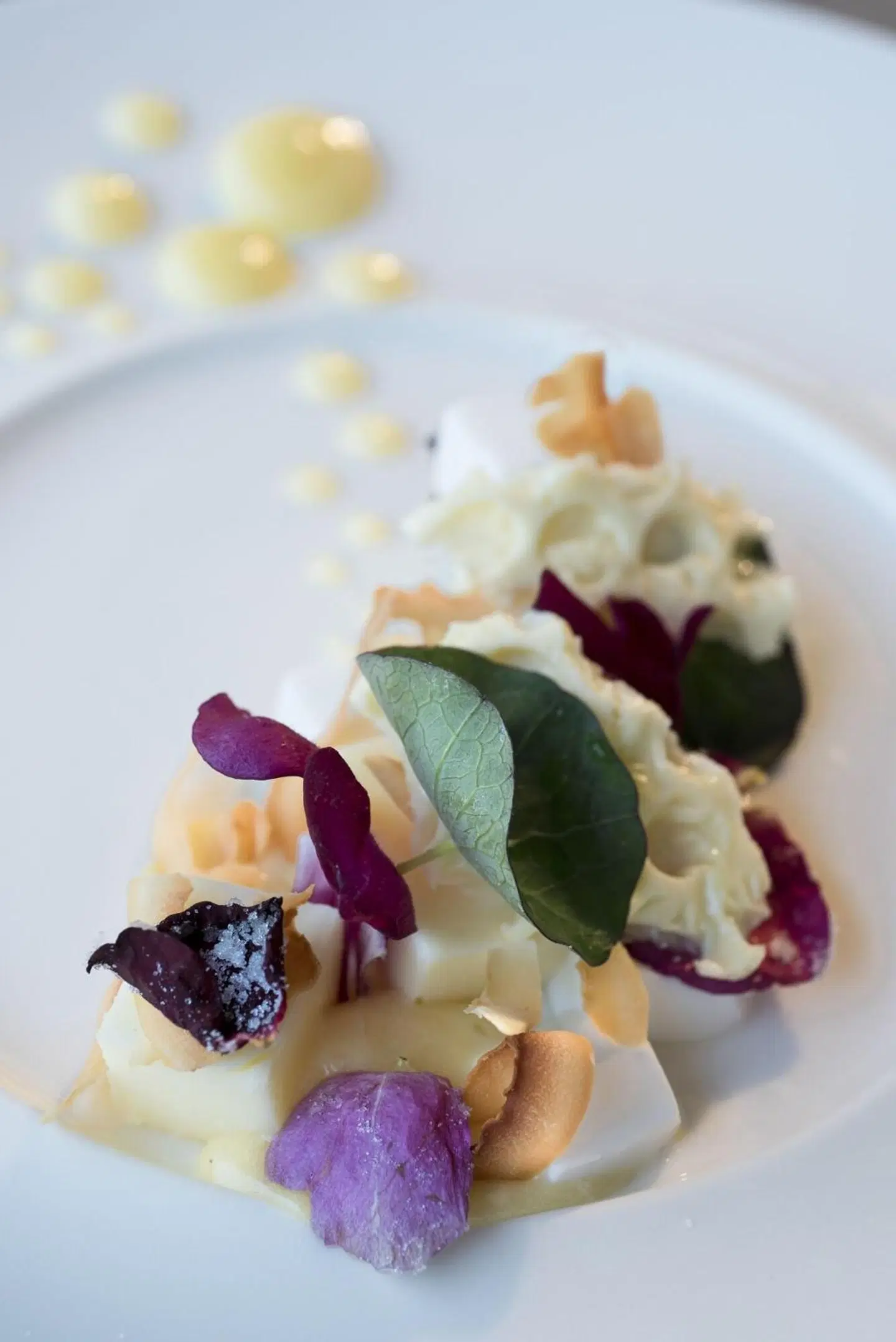 Lion Sands Ivory Lodge Tiere