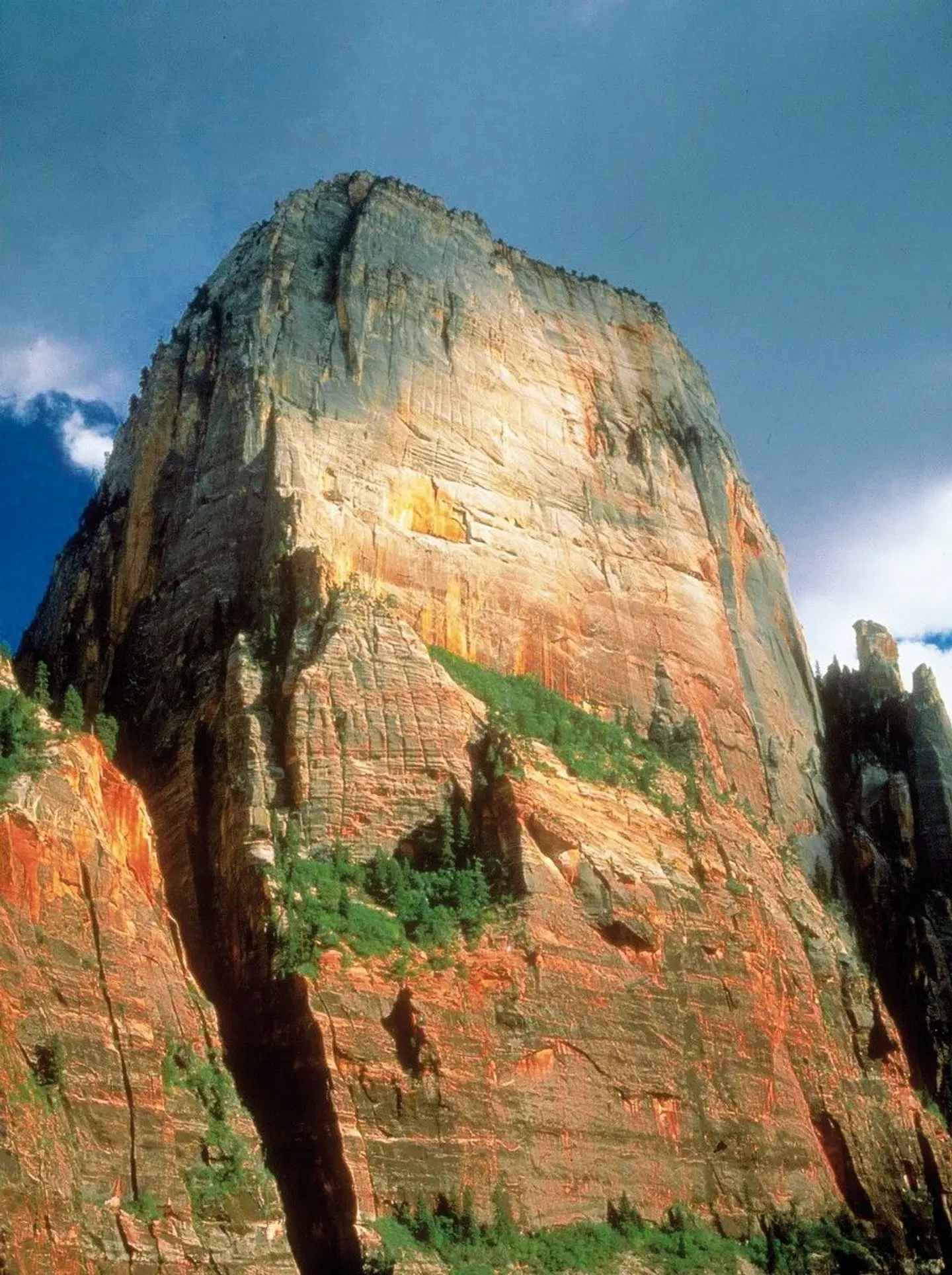 Western Triangle LANDSCAPE