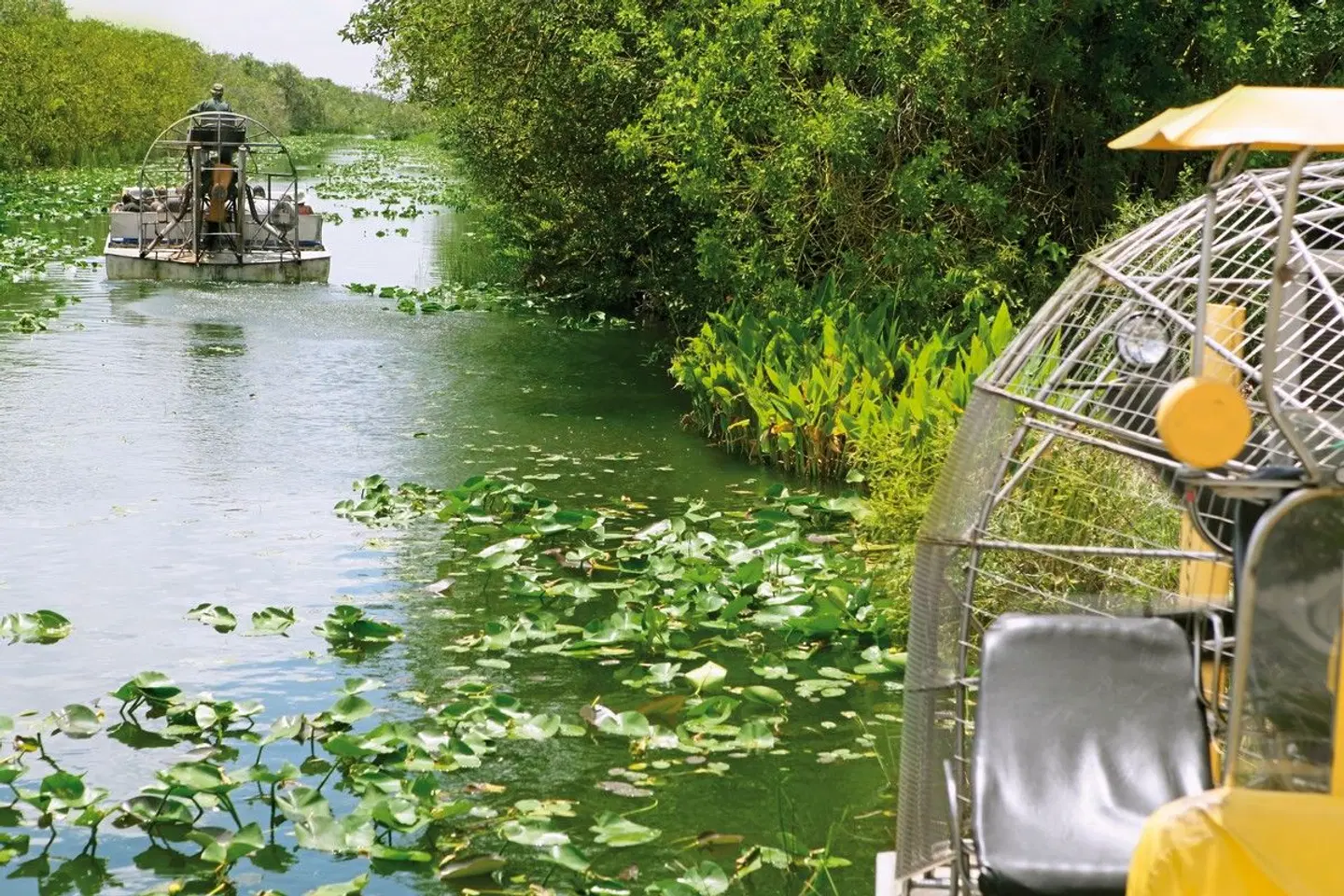 Florida Sunshine State Adventure Garten