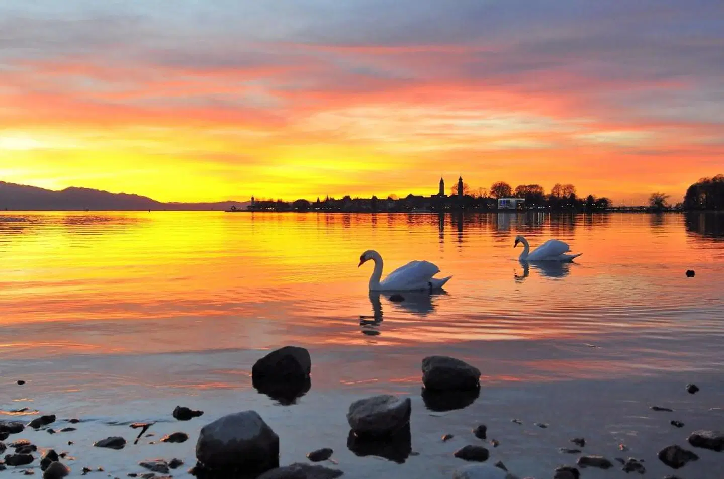 Schlosshotel Wasserburg Tiere