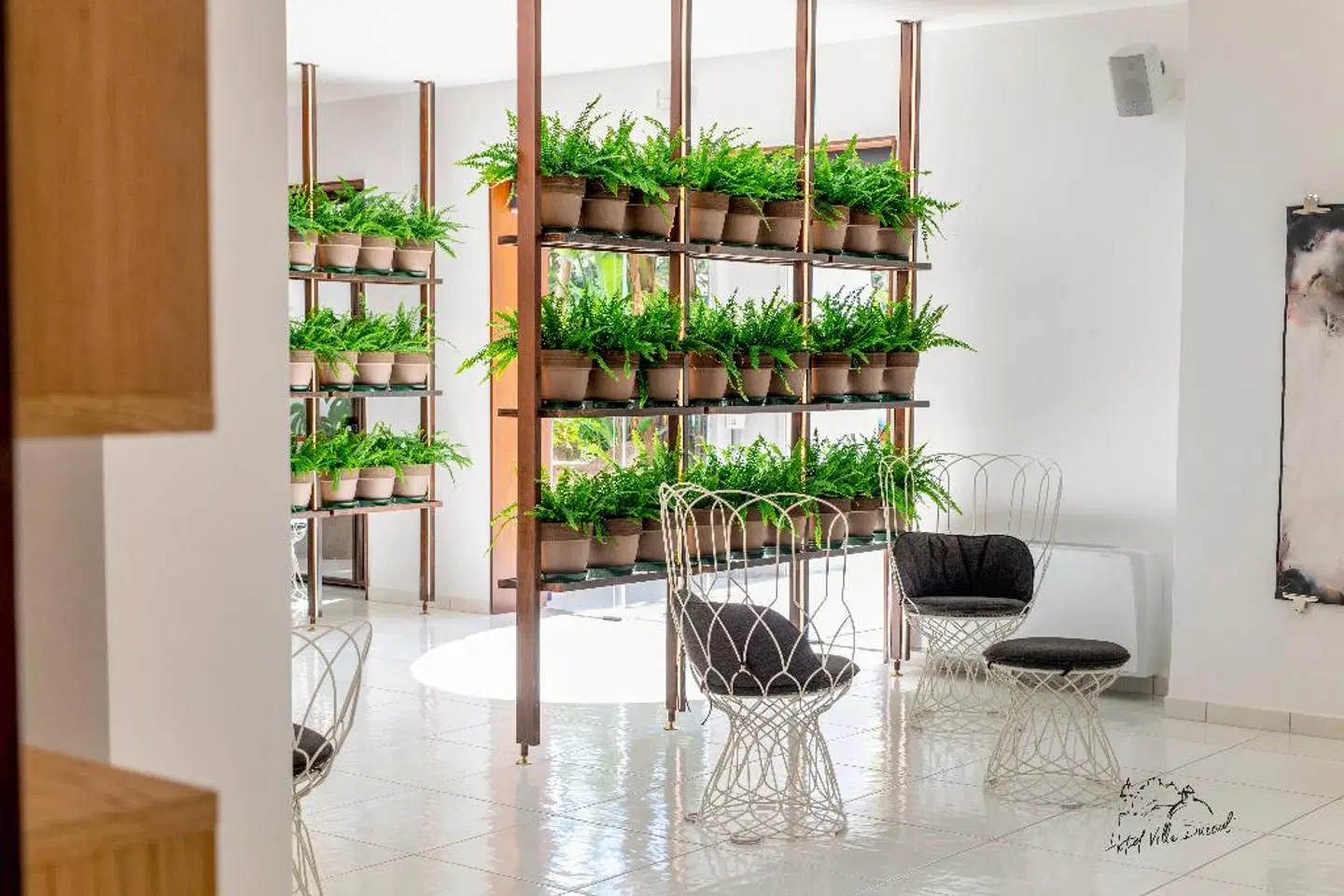 Villa Durrueli Resort & Spa LOUNGE_LOBBY