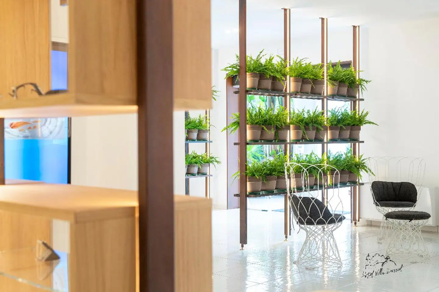 Villa Durrueli Resort & Spa LOUNGE_LOBBY