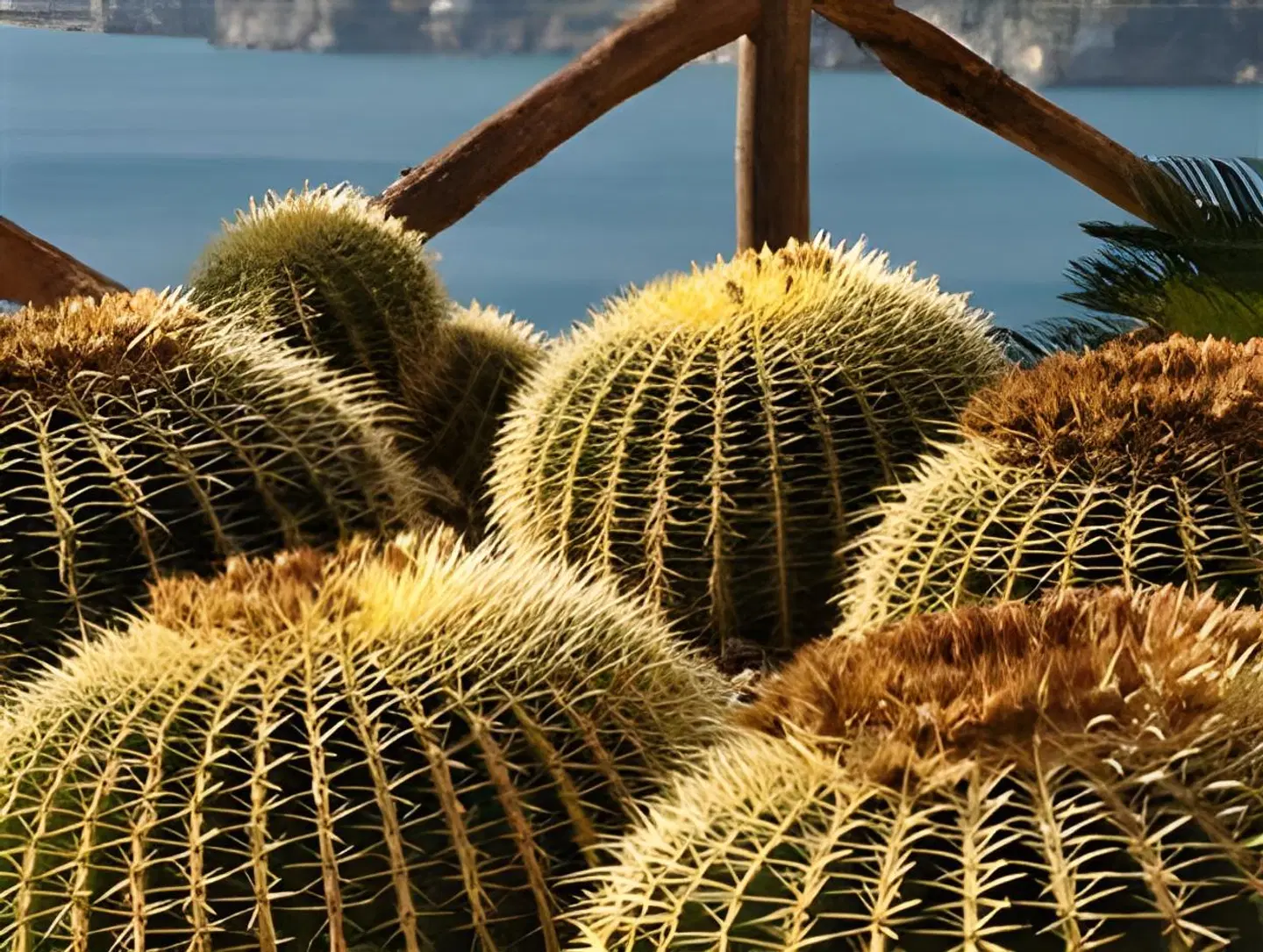 Hotel Botanico San Lazzaro Tiere