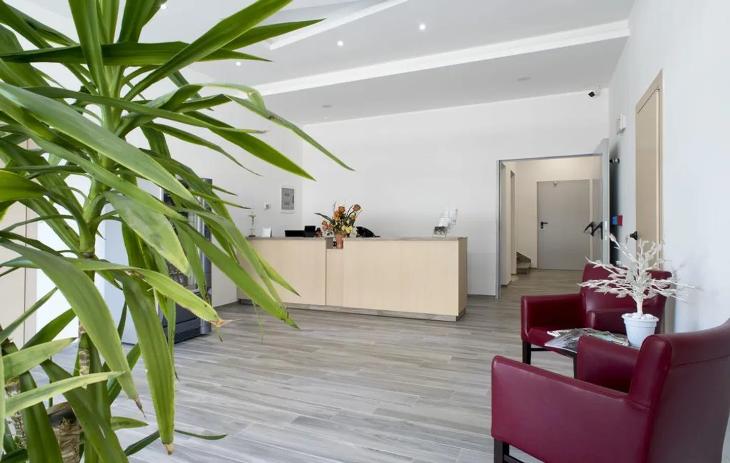 Terme Capasso LOUNGE_LOBBY