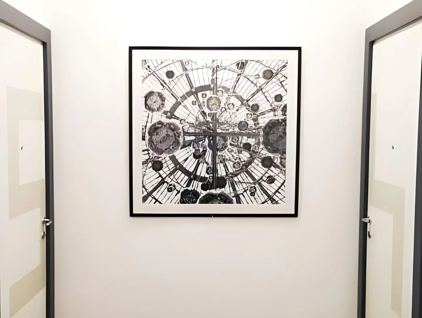 Domus Municipio MODEL_IMPRESSION