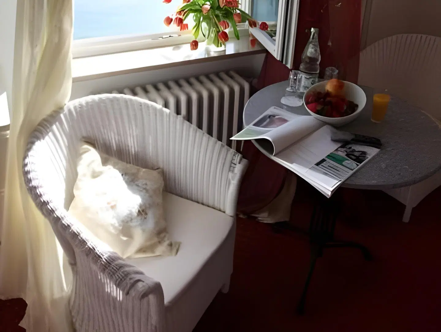 Hotel & Gästehaus Seehof Terrasse