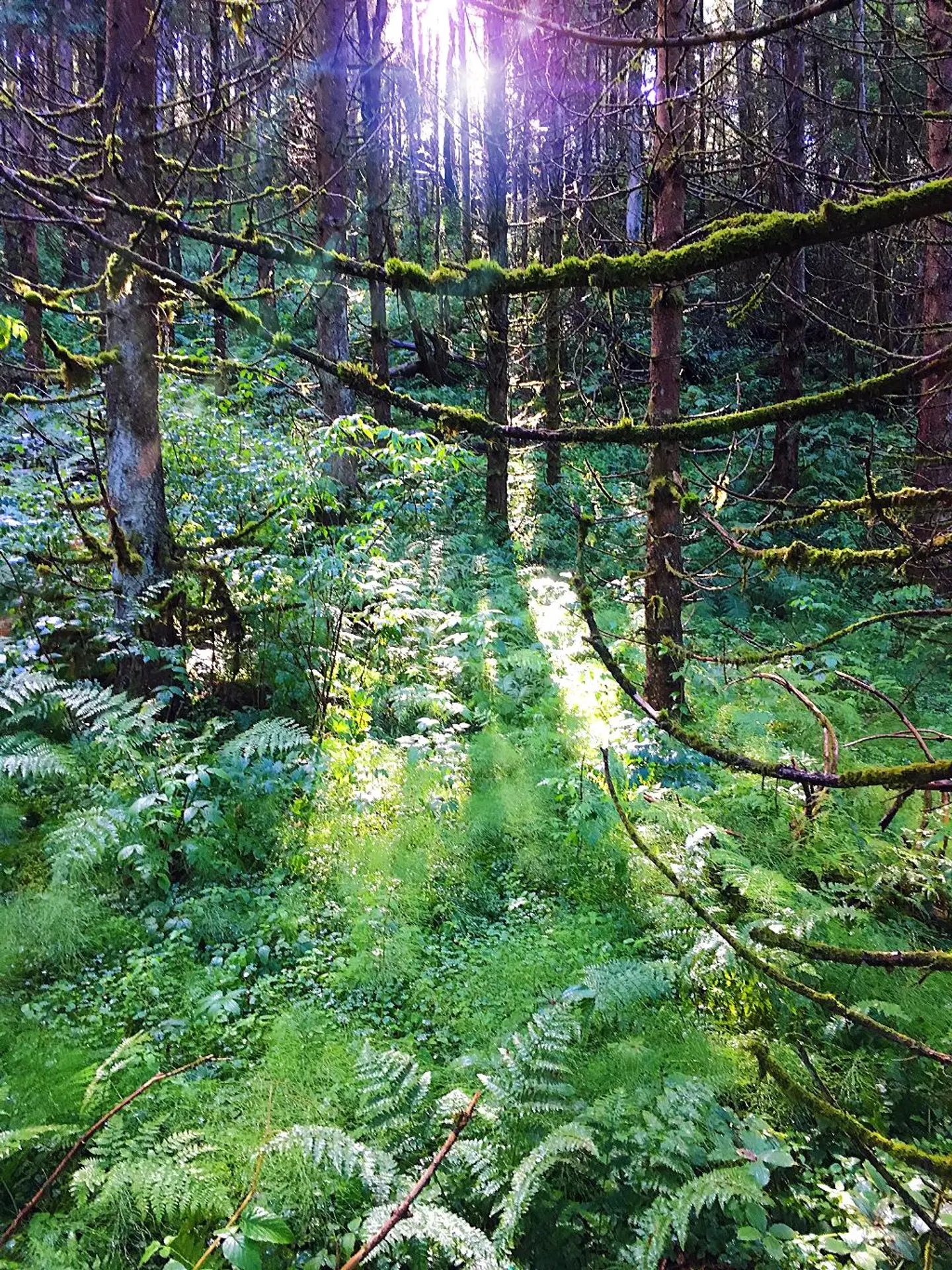 Best Western Plus Oslo Airport LANDSCAPE