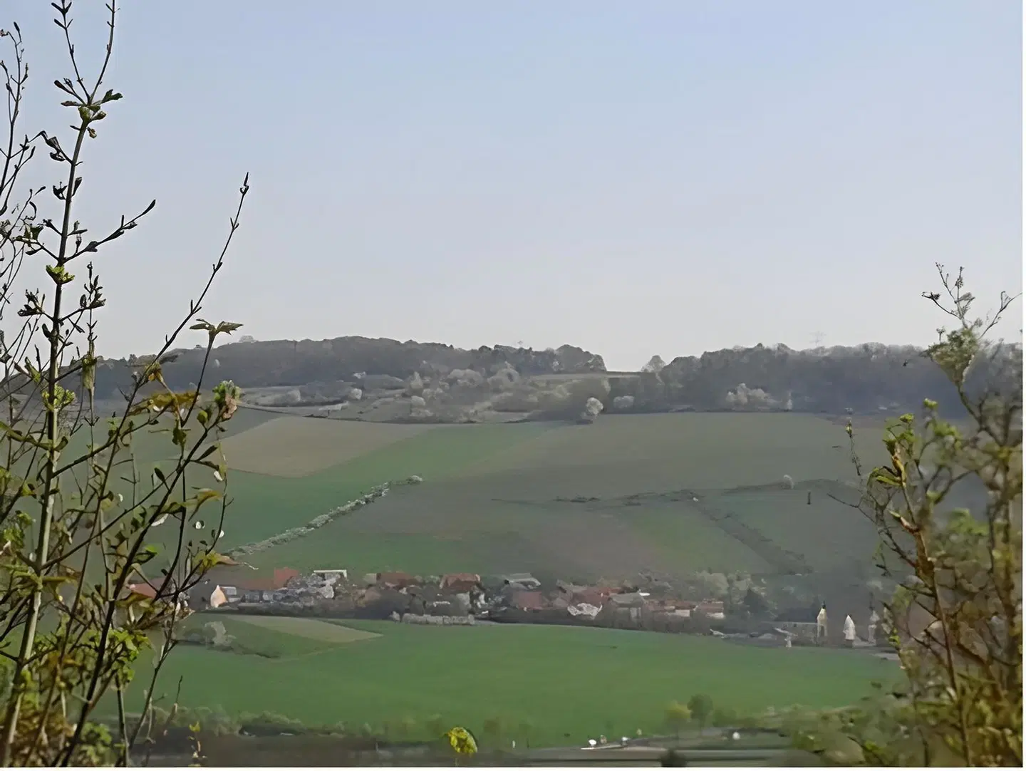 Weinherberge Rebgut LANDSCAPE