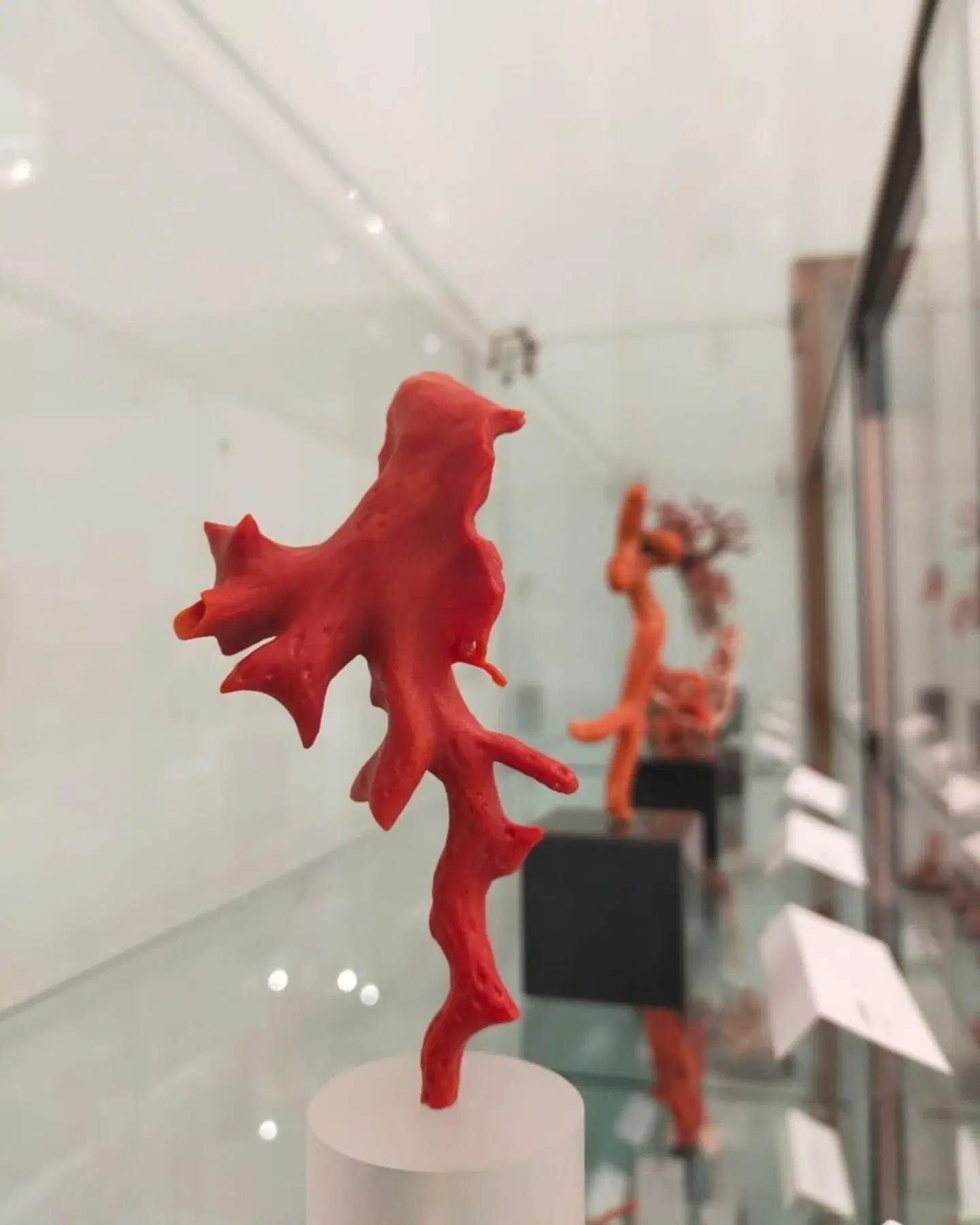 Hotel Domomea SPORTS_AND_LEISURE